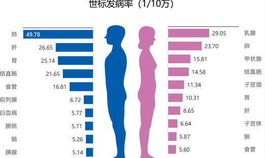 国家癌症中心：2022年全国癌症报告