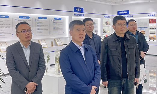 通辽开发区领导莅临易彩堂集团考察交流 共绘合作新篇